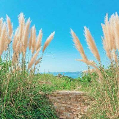 半岛彩票手机app下载