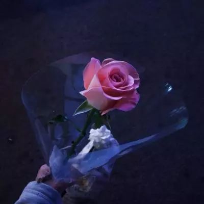 Welcome彩票中心注册大厅进入app下载